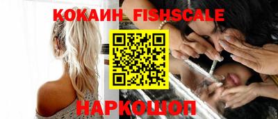 ECSTASY Камышлов