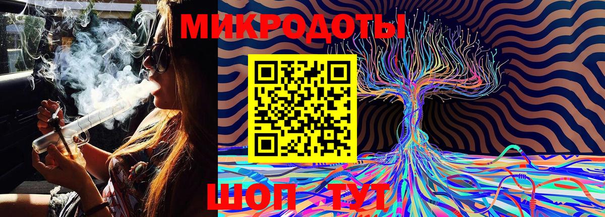 Галлюциногенные грибы прущие грибы Курчатов